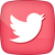 Social_icons - Twitter